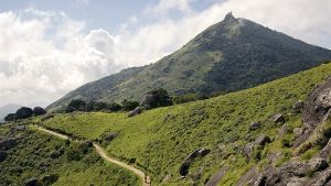 The Velliangiri Mountains  Travel Packages